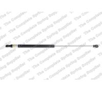LESJOFORS Boot Cargo Gas Spring Trunk Strut Lift Support Rear Fits CITROEN C3