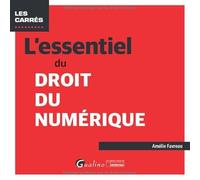 L'essentiel du droit du numérique