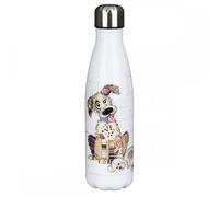 Lesser & Pavey 500ml Stainless Steel Water Bottle | Eco Friendly Stainless Steel Bottle with Lid & Carry Handle | Murphy Mutt Stainless Steel Bottles for Office, Sports or On The Go - Bug Art