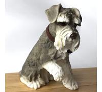 Lesser & Pavey Large 24cm realistic sitting Schnauzer figurine from the Leonardo Dog Studies range, gift boxed