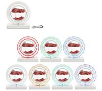 Lesser & Pavey Quicksand Lamp with Light for Decor | Rotatable Moving Sand Art Lamp for Night Light | Artistic Gift for Home Decor & Desk Lamp - Quicksand Lamp Red