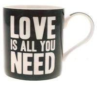 Lesser & Pavey Words of Wisdom Love is All You Need Mug in Gift Box