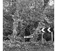 Lesser Spotted Britain Art Road Art Print
