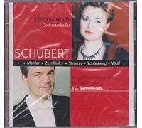 Lessky - Sinfonie 10/Orchesterlieder