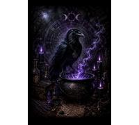 Lessons From a Crow: Where Black Wings Shine