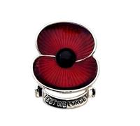 Lest We Forget Banner Floral Brooch - 3.5cm Red Enamel Alloy Lapel Pin for Remembrance Day, Commemorative Floral Badge with Black Centre (Silver)