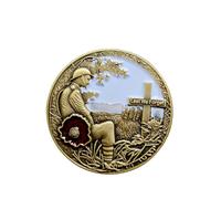 Lest We Forget Red Poppies Pin Badge Brooch Remembrance Day Decorations Veteran Gifts Memorabilia