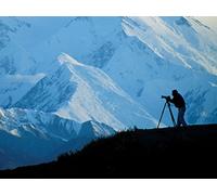 Let’s Go to Work-Landscapes