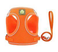 Letaia Dog Harness All Weather Small and Medium Dogs Leash Vest Harness with Super Breathable Mesh (Orange, Large (11-15.4 pounds))