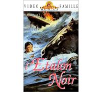 L'etalon noir [VHS]