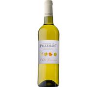 L'Été Gascon Blanc 2025 - Domaine Pellehaut