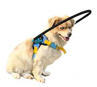 LetPetRun Blind Dog Halo Harness, Protective Halo Dog Collar for Blind Dogs, Confidence Building Harness Guiding Device, Blind Dog Accessories, XS Black