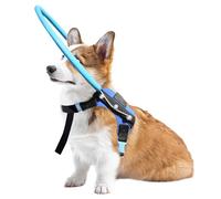 LetPetRun Dog Halo Harness, Blue, XS, Functional and Protective, Blind Dog Accessory