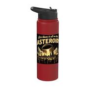 Let's Blame It All On The Asteroid Funny Space Themed Stainless Steel Insulated Water Bottle