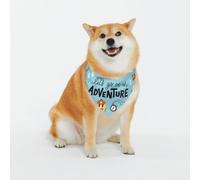 Let's Go On an Adventure Pattern Dog Bandanas, Comfortable Cotton Triangle Bibs Scarfs for Dogs Or Cats,Cute Pet Kerchief for Medium Large Dogs-Xx-Large