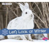 Let's Look at Winter: A 4D Book (Investigate the Seasons)
