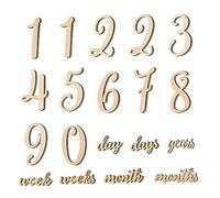 let's make Baby Milestone Numbers Wooden Milestones Newborn Photography Prop Wooden Milestone Monthly Card 19 Pcs