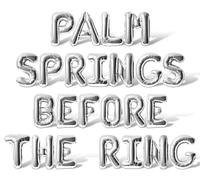 Letter Balloons - PALM SPRINGS BEFORE THE RING 16" Inch Alphabet Letters Foil Mylar Balloon Bachelorette Party Banner (Silver)