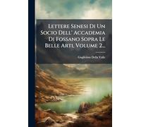 Lettere Senesi Di Un Socio Dell' Accademia Di Fossano Sopra Le Belle Arti, Volume 2...