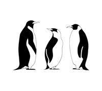 Lettering Decals and Penguin Winter Animal Great 32x49.5cm Removable Without Leaving Glue Small Black