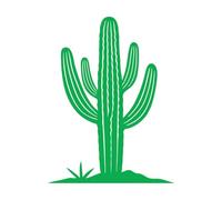 Lettering Decals Cactus Saguaro Silhouette 34x44.6cm Waterproof Green