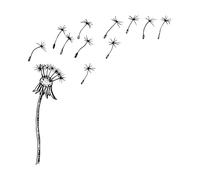 Lettering Decals Flying Dandelion Seeds Dandelion Blowing Silhouette Flying Blow Dandelion 54.6x57.2cm Waterproof Black
