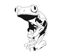 Lettering Decals Tree Frog 34x48.4cm Window Decals Black
