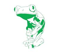 Lettering Decals Tree Frog 68x96.7cm Store Decoration Green