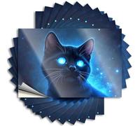 Lettering Sticker Window Scratch Resistant Decals, Square Matte Print for Phone Case Drinking | Outdoor Camping Accessories Uv Proof Pack Blue-Eyed Black Cat in Space(6X9CM)