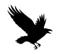 Lettering Stickers Gothic Style Raven Flying Big Bird 54x54.2cm Art Mural Painting Black