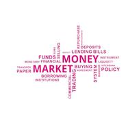 Lettering Stickers Word Cloud Money Market 68x95.9cm Art Decoration Rosered