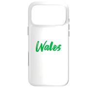 Letters Word Wales in Beautiful Green Font Case for iPhone 17 Pro Max