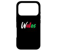 Letters Word Wales in Cute Colorful Font Case for iPhone 17 Pro