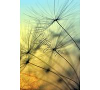 Letting GO: A 6x9 Right-to-Left Journal for Reflection and Renewal