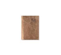 Letts of London Ladydate Mini Pocket week to view 2027 diary - Rose gold 27-081957
