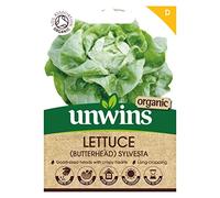 Lettuce (Butterhead) Sylvesta (Organic)