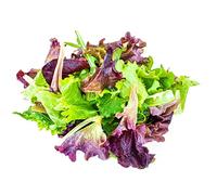 Lettuce Plants, 'Mixed Selection', 6 x Full Plant Pack, Lettuce, Salad Plants, Salads, Garden Ready and Ready to Plant, Premium Quality Salad