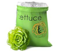Lettuce Storage Bag by WalterDrake | Breathable Produce Storage Bags with Drawstring - Keeps Salad Greens Fresh | Sturdy, Washable, for Lettuce, Fruits, Veggies