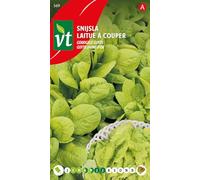 Lettuce, Yellow Gotte Seeds - Produces a Quick Crop of Tender Leaves - 4 g - Seeds: 800