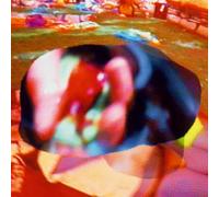 Letzte Instanz - It S a Sonic Life (+ Poster) [VINYL]
