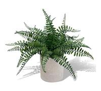 LEUCHTAMOR Small Fake Plants 29.21cm Artificial Fern Pots Fake Fern Plants for Shelf Desk Home Bathroom Farmhouse Room Coffee Table Indoor Decor (Green)