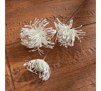 Leucospermum-Inspired Artificial Bloom for Year-Round Decor No Pruning or Watering Needed Adds Consistent Visual Interest to Any Setting (White)