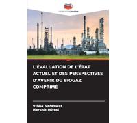 L'ÉVALUATION DE L'ÉTAT ACTUEL ET DES PERSPECTIVES D'AVENIR DU BIOGAZ COMPRIMÉ