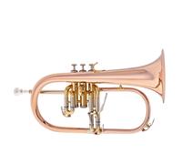 Levante by Stagg FH6205 Flugelhorn Lacquer