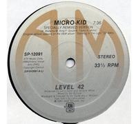 Level 42 - micro-kid 12