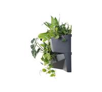 (Levels cascade) Vertical Standing Garden Flower Pots Cascade Balcony Anthracite Plant Wall