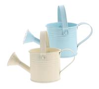 Levemolo 2pcs Iron Watering Can for Plants Portable Garden Watering Pot with Long Spout Thickened Base for Stability Smooth Pouring for Indoor and Outdoor Flowers Random Color Random Color