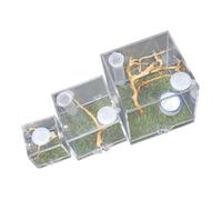 Levemolo 3pcs Acrylic Jumping Spider Enclosure Box Transparent Reptile Feeding Habitat with Breathable Side Compact Insect Breeding Containers for Spiders Beetles and Small Bugs