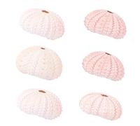 Levemolo 6pcs Creative Sea Urchin Shell Air Plant Pots with Shell Design Multi-functional Space-saving Sea Urchin Home Decor for Living Room and Bedroom Random Random Color