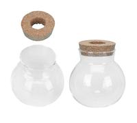 Levemolo Creative Hydroponic Glass Vase Set 2pcs, Mini Fish Tank Containers for Water Plants and Flower Arrangement, Small 10x11cm Medium 13x14cm Decorative Floral Display for Home